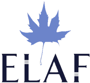 إيلاف.. مجموعة متنوعة من المنتجات التي تلائم مختلف الأذواق والاحتياجات من العناية الشخصية إلى مواد التنظيف المنزلية مع التزام راسخ بأعلى معايير الجودة والثقة.