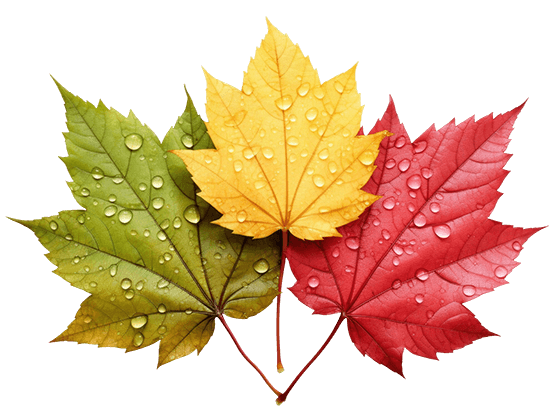 إيلاف.. مجموعة متنوعة من المنتجات التي تلائم مختلف الأذواق والاحتياجات من العناية الشخصية إلى مواد التنظيف المنزلية مع التزام راسخ بأعلى معايير الجودة والثقة.